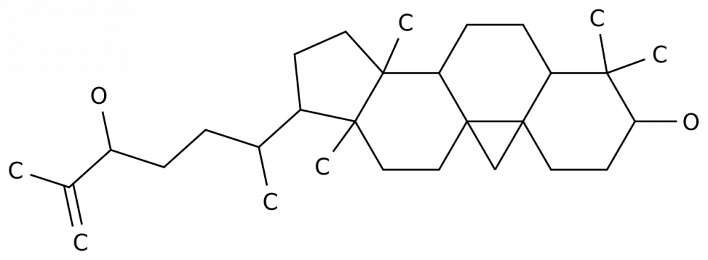 9,19-Цикло-5α-ланост-25-ен-3β,24-диол в Казахстане