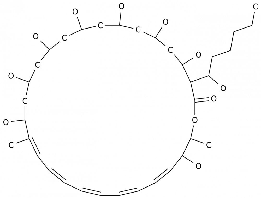 Филиппинец III в Казахстане