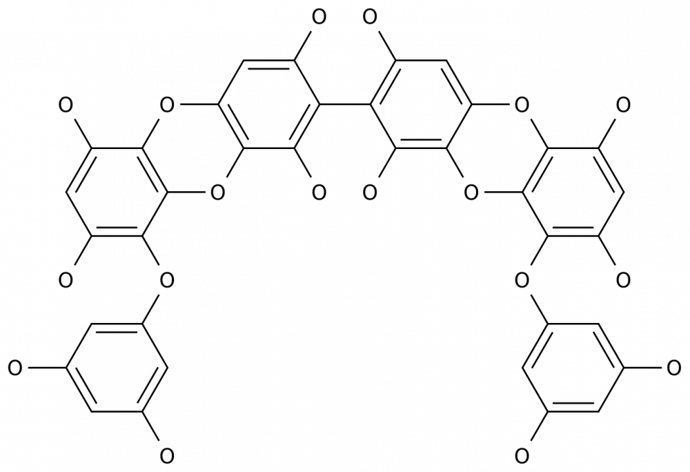 8,8'-Биколь в Казахстане