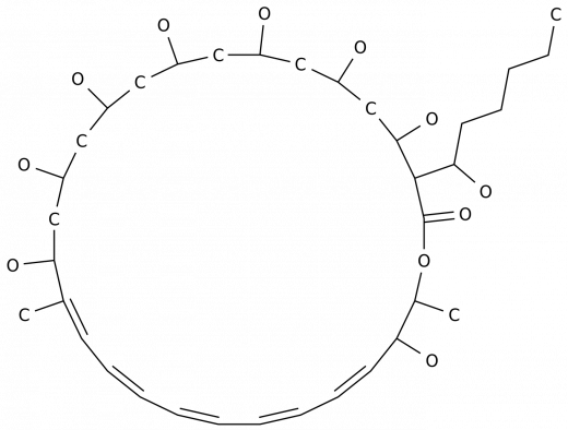 Филиппинец III в Казахстане